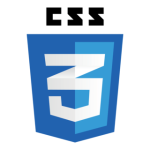 css3